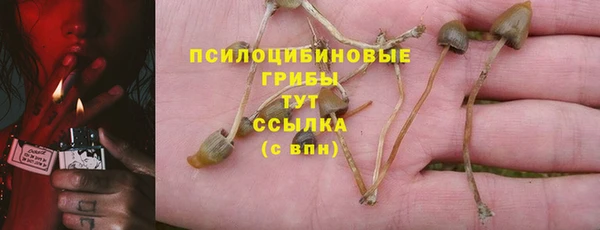 прущие крисы Надым