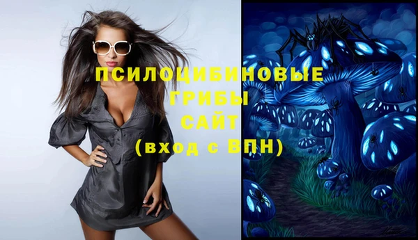 прущие крисы Надым
