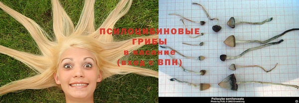 дмт Навашино
