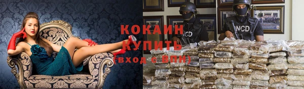 прущие крисы Надым