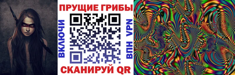 Псилоцибиновые грибы Cubensis  Купить закладки  Тырныауз 